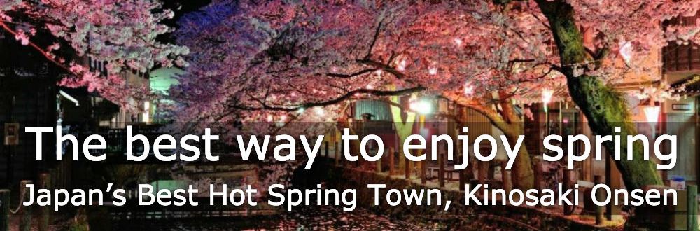 Magical Cherry Blossom Experience off the Beaten Path at 高知 パチンコ 閉店's Best Hot Spring Town, Kinosaki Onsen.