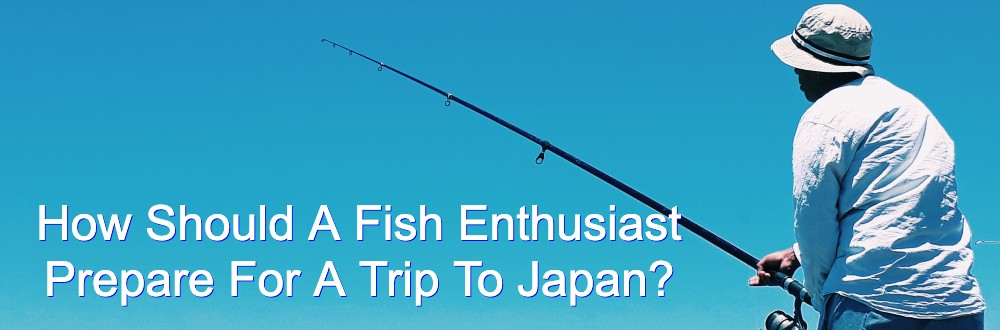 How Should A Fish Enthusiast Prepare For A Trip To 高知 パチンコ 閉店?