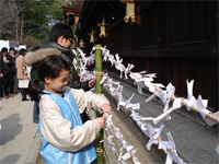 Omikuji at a Japanese shrine