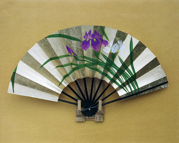 Handmade Japanese Fans,decorative fans,Japanese Apricot Tree,Iris