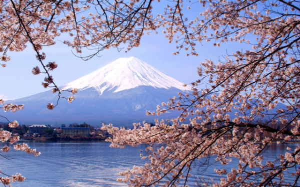 Sakura, Mt. Fuji
