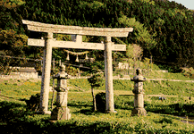 Torii of a rural shrine